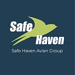 Safe Haven Logo