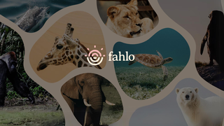 fahlo